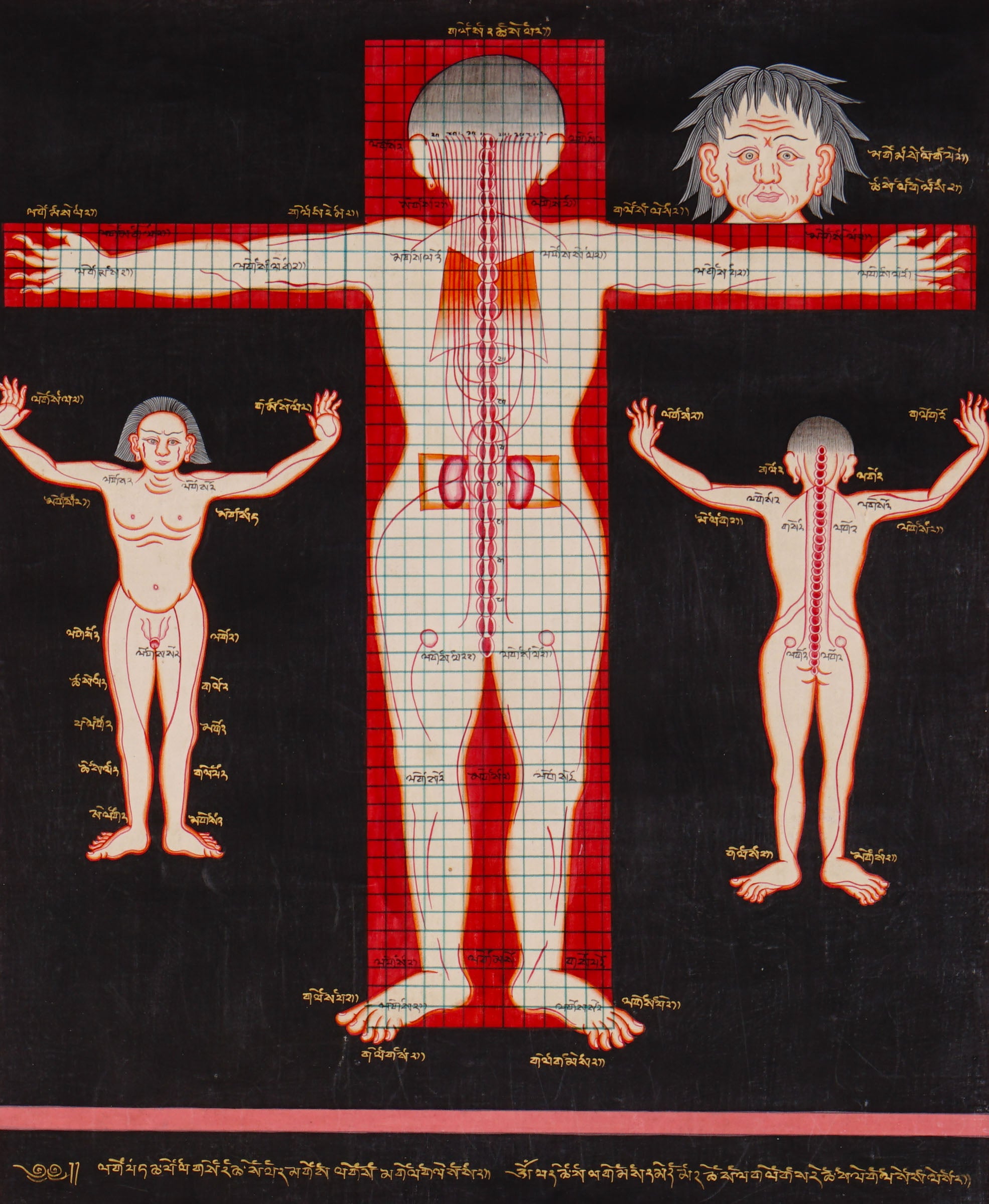 Tibetan medical anatomy thangka depicting human body proportions, anatomical structures, spinal channels, diagnostic reference points, and traditional Sowa Rigpa medical knowledge.