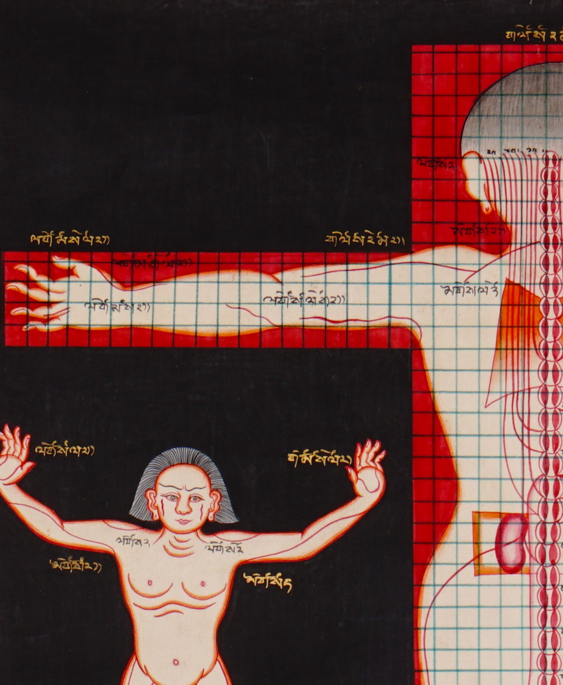 Tibetan medical anatomy thangka depicting human body proportions, anatomical structures, spinal channels, diagnostic reference points, and traditional Sowa Rigpa medical knowledge.