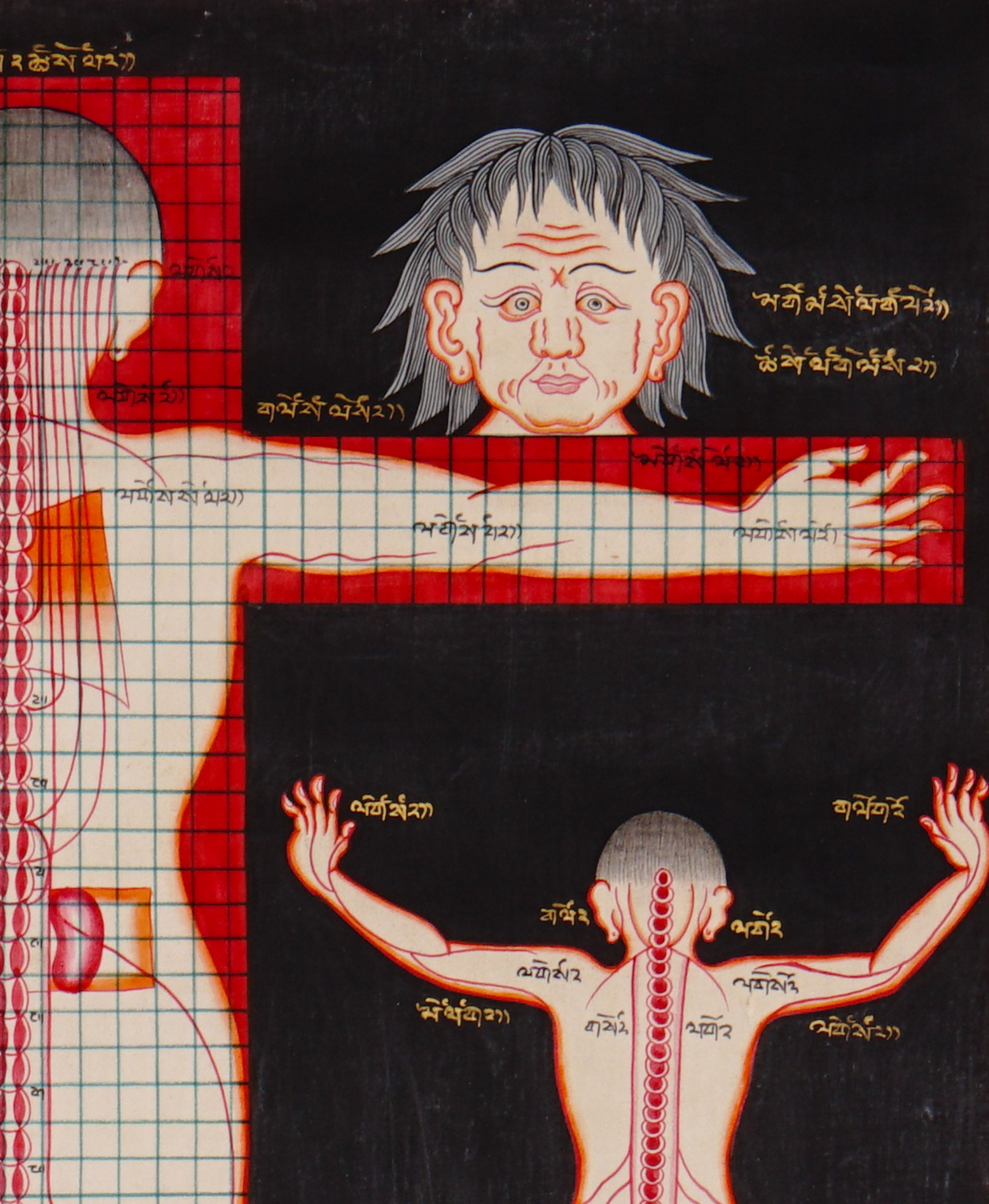 Tibetan medical anatomy thangka depicting human body proportions, anatomical structures, spinal channels, diagnostic reference points, and traditional Sowa Rigpa medical knowledge.