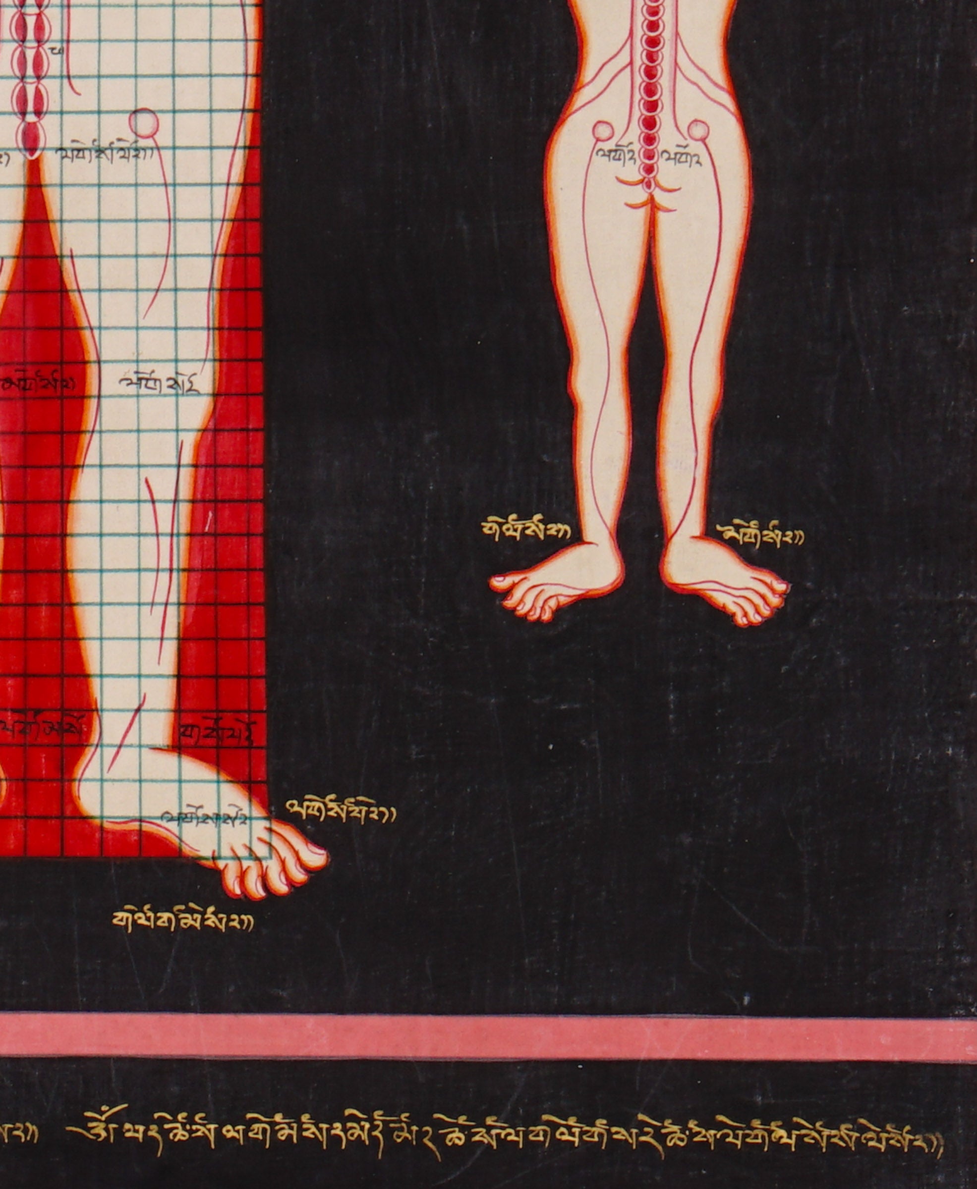 Tibetan medical anatomy thangka depicting human body proportions, anatomical structures, spinal channels, diagnostic reference points, and traditional Sowa Rigpa medical knowledge.