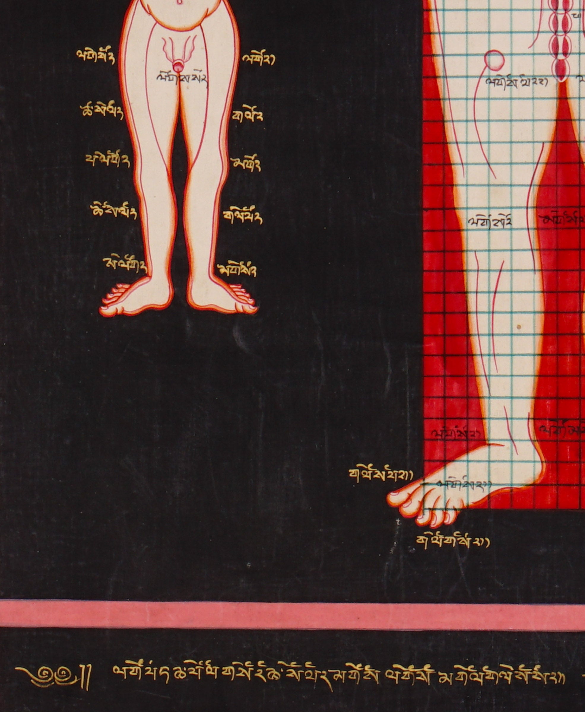 Tibetan medical anatomy thangka depicting human body proportions, anatomical structures, spinal channels, diagnostic reference points, and traditional Sowa Rigpa medical knowledge.