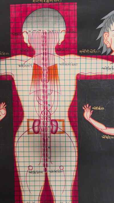 Tibetan medical anatomy thangka depicting human body proportions, anatomical structures, spinal channels, diagnostic reference points, and traditional Sowa Rigpa medical knowledge.
